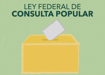 ¿CONSULTAR O NO CONSULTAR?