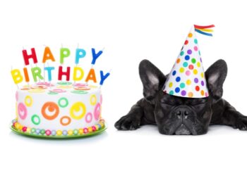 MAMMA MIA! HERE WE GO AGAIN