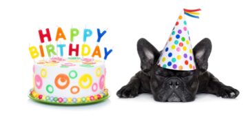 MAMMA MIA! HERE WE GO AGAIN