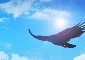 CUAUHTÉMOC ¿NOMBRE PREDESTINADO A LA DERROTA?