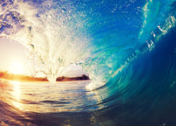 “YOU DON´T BULLSHIT WITH THE OCEAN”