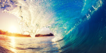 “YOU DON´T BULLSHIT WITH THE OCEAN”