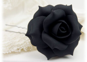 TRISTE 10 DE MAYO PARA EL COLECTIVO SOLECITO