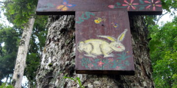 VACACIONES Y AMBIENTE:  ¿ES POSIBLE UNA SIMBIOSIS?