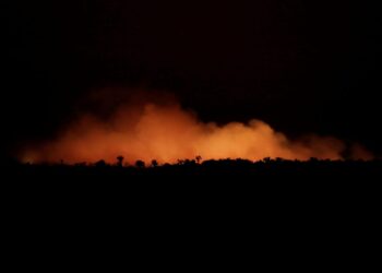 LA CATÁSTROFE DE LA AMAZONÍA Y LAS DISPUTAS INTERNACIONALES