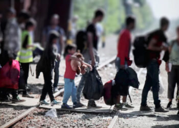 VOZ Y REPRESENTACIÓN MIGRANTE EN EL CONGRESO DE LA UNIÓN