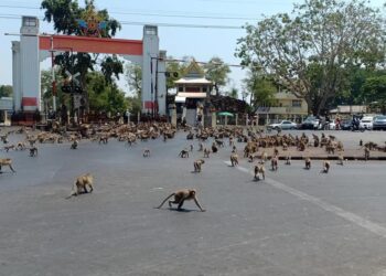 NO HAY MAL QUE POR BIEN NO VENGA