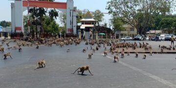 NO HAY MAL QUE POR BIEN NO VENGA