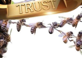 CONFIANZA, EL ARMA SECRETA