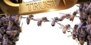 CONFIANZA, EL ARMA SECRETA