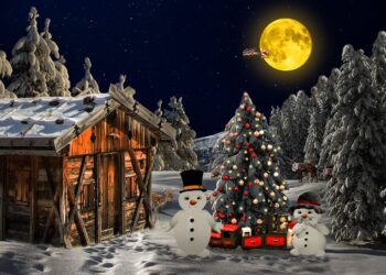 AMO CON LOCURA LA NAVIDAD!!!